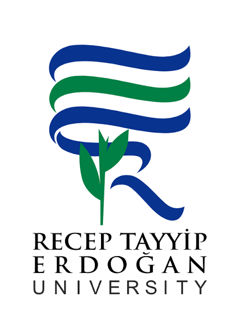 Recep Tayyip Erdoğan University
